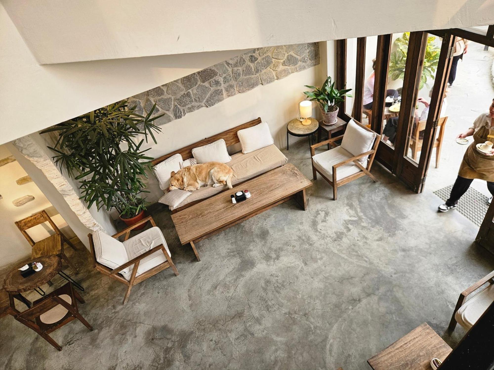 Hotel Blossom Ποκάρα Εξωτερικό φωτογραφία